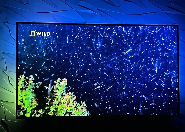 Apartamento Luxury 88 M2, 3 Bedrooms Living *